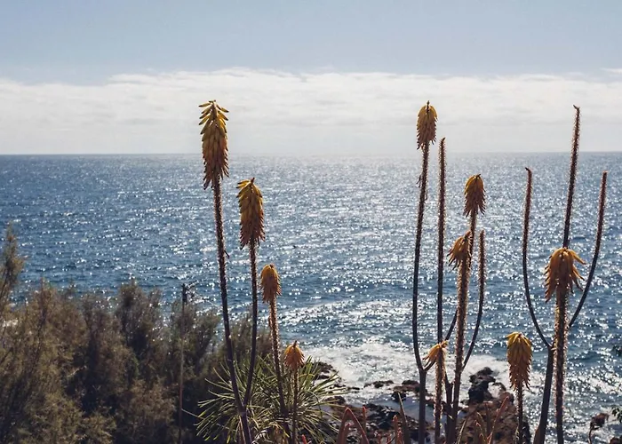 Luminous Loft Next To The Atlantic Ocean Prázdninový dům *